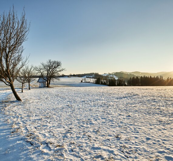 Laaben - Winteransicht | © Wienerwald Tourismus - Andreas Hofer