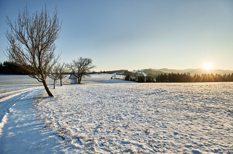 Laaben - Winteransicht | © Wienerwald Tourismus - Andreas Hofer Laaben - Winteransicht | © Wienerwald Tourismus - Andreas Hofer