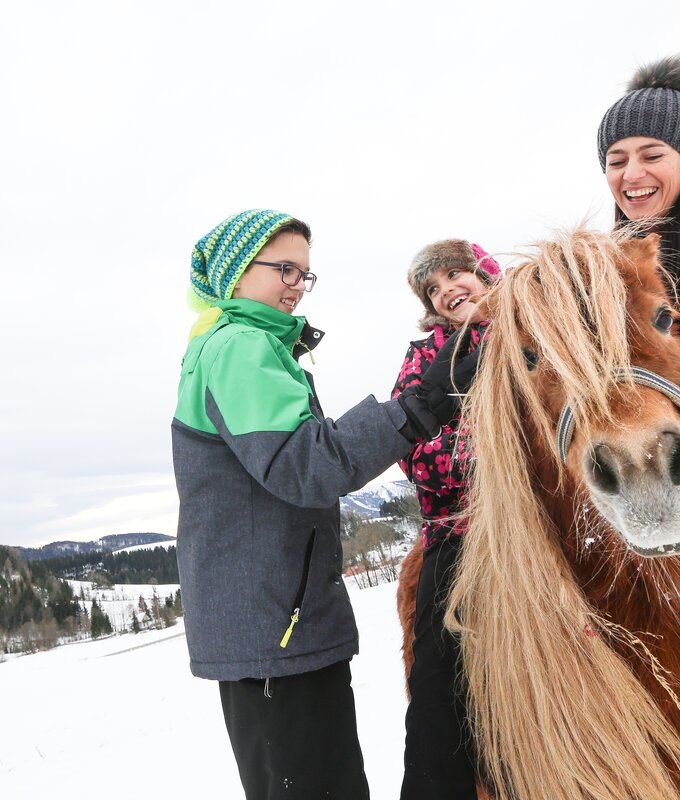 Kinder streicheln Pony | © Niederösterreich Werbung / schwarz-koenig.at