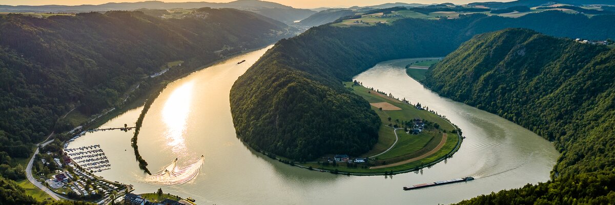Blick auf die Schlögener Schlinge der Donau in Oberösterreich | © WGD Donau Oberösterreich Tourismus GmbH / Kaindlstorfer