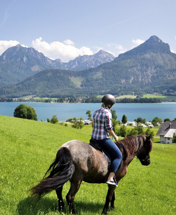 Reiten am Wolfgangsee | © Urlaub am Bauernhof Oberösterreich / Harald Puchegger Frau reitet mit Blick auf den Wolfgangsee, Salzkammergut | © Urlaub am Bauernhof Oberösterreich / Harald Puchegger