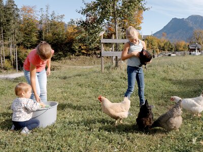 Tiere hautnah erleben | © Urlaub am Bauernhof Österreich / Daniel Gollner Kinder mit Hühner auf der Weide | © Urlaub am Bauernhof Österreich / Daniel Gollner