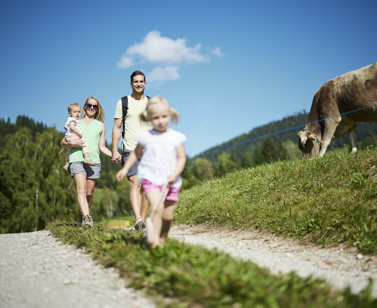 Familie wandert im Nationalpark Kalkalpen | © Urlaub am Bauernhof Oberösterreich / Alexander Kaiser Familienwanderung | © Urlaub am Bauernhof Oberösterreich / Alexander Kaiser
