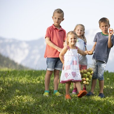 Kinder holen Äpfel von der Obstwiese | © Urlaub am Bauernhof Oberösterreich / Andreas Hofer