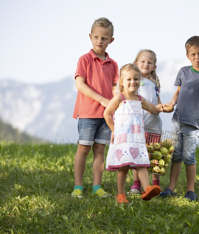 Kinder holen Äpfel von der Obstwiese | © Urlaub am Bauernhof Oberösterreich / Andreas Hofer
