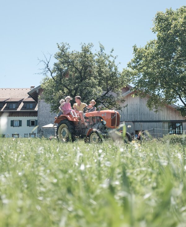 Traktorfahrt mit dem Bauern | © Urlaub am Bauernhof Oberösterreich / Robert Maybach Kinder fahren mit dem Bauern auf dem Traktor über die Wiese | © Urlaub am Bauernhof Oberösterreich / Robert Maybach