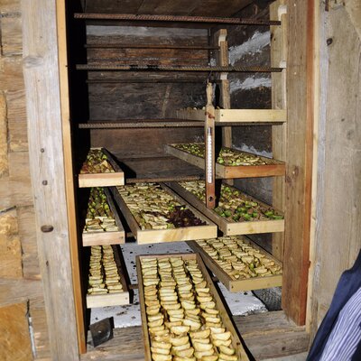 Dörrobst liegt im traditionellen Dörrhäusl | © Urlaub am Bauernhof Oberösterreich / Harald Puchegger