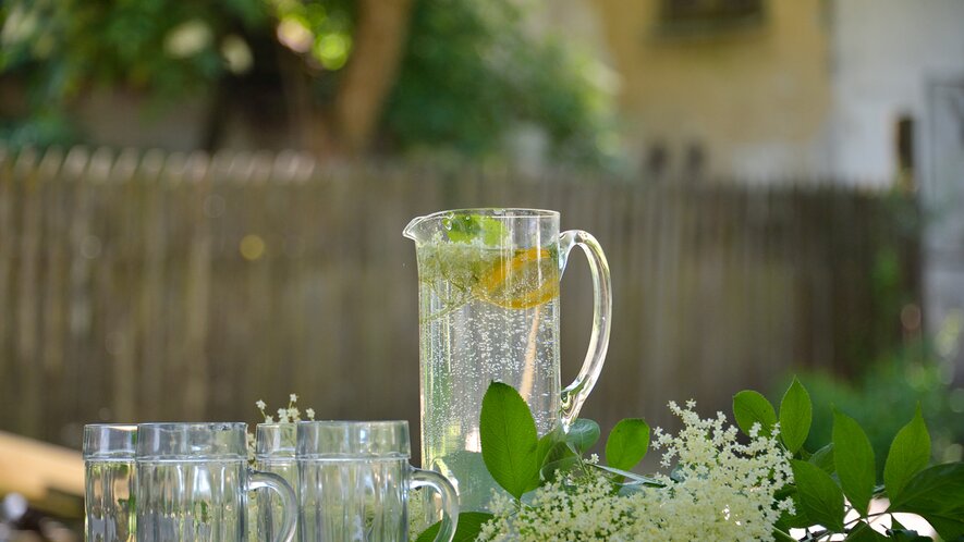 Holundersirup