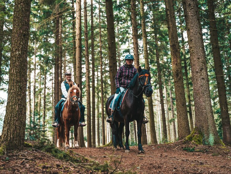 Wanderreiten im Mühlviertel - Erlebnishof Steinkellnergut  | © Urlaub am Bauernhof Oberösterreich/Schenker