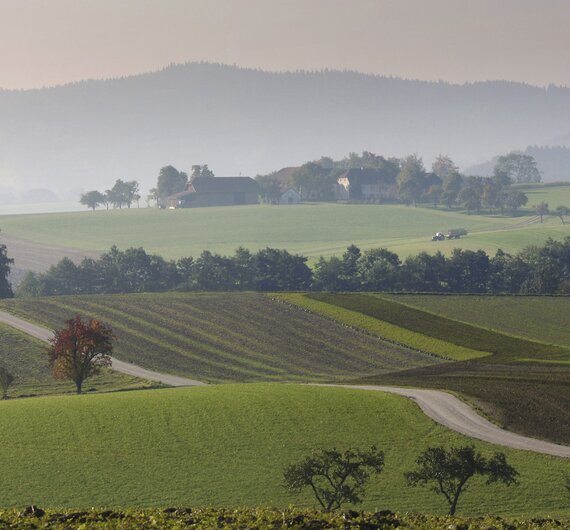 Landchaft im Herbst in Haag am Hausruck, Innviertel-Hausruckwald | © Oberösterreich Tourismus GmbH / Andreas Röbl