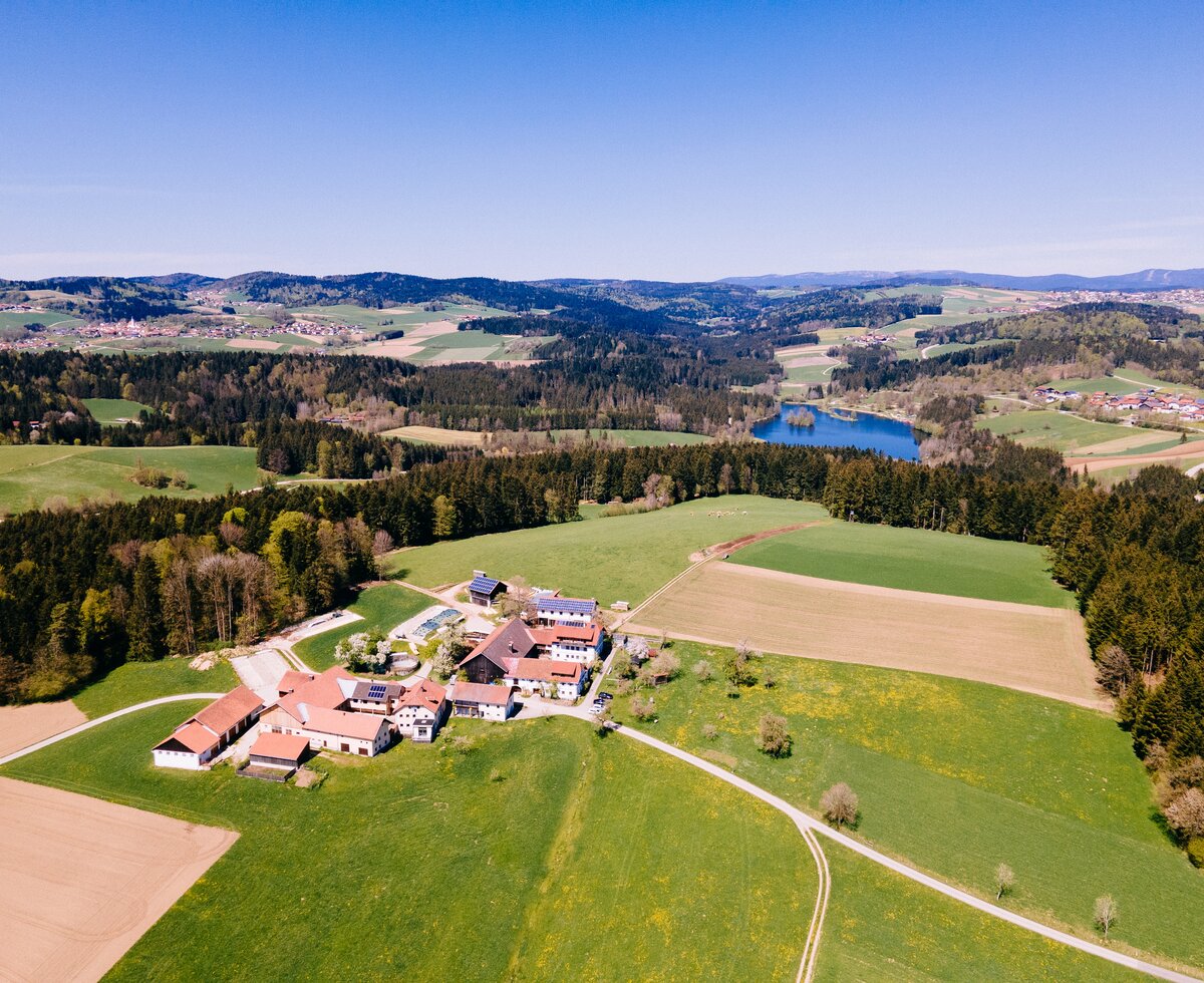 Biohof Stadler in Oberkappel, Mühlviertel | © Urlaub am Bauernhof Oberösterreich / Daniel Gollner