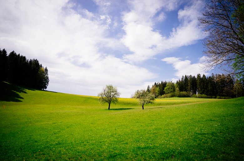 Sommerliche Hügellandschaft im Mühlviertel | © Urlaub am Bauernhof Oberösterreich / Daniel Gollner