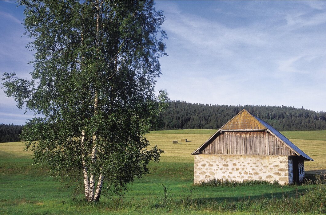 Kleines Haus im Mühlviertler Steinbloßstil umgeben von Feldern und Wäldern | © Oberösterreich Tourismus GmbH / Hermann Erber