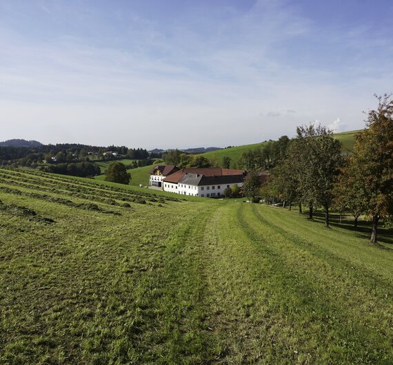 Löschgruberhof in Rechberg, Mühlviertel | © Urlaub am Bauernhof Oberösterreich / Harald Puchegger
