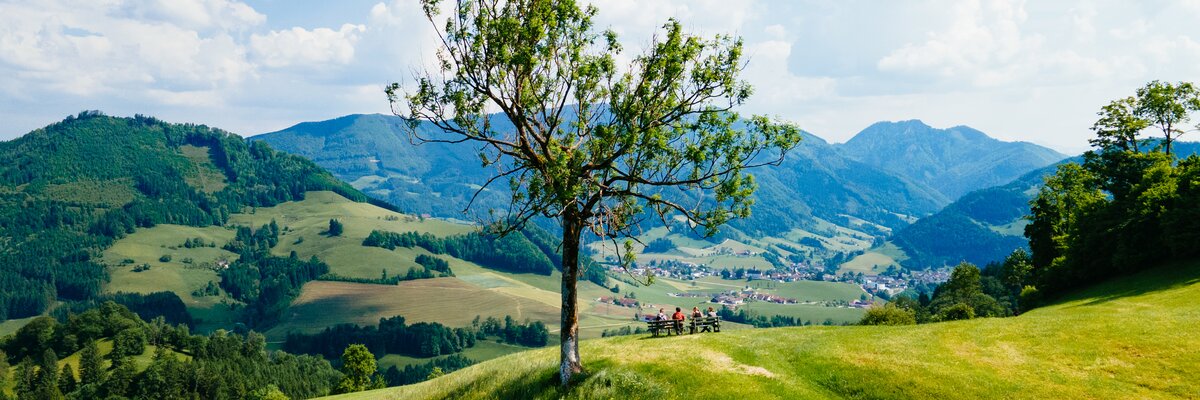 Traumhafte Aussicht im Sommer in der Nationalparkregion Kalkalpen | © Urlaub am Bauernhof Oberösterreich / Daniel Gollner