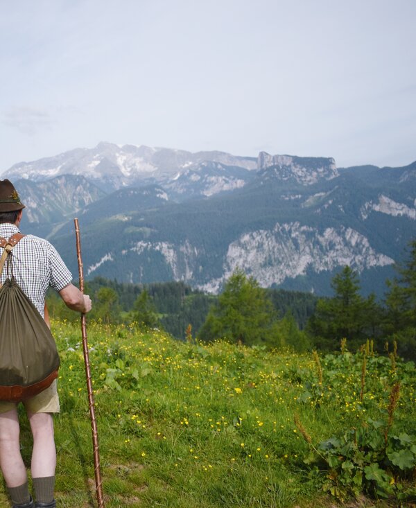 Almbauer in der Nationalparkregion Kalkalpen | © Urlaub am Bauernhof Oberösterreich / Harald Puchegger Almbauer blickt auf die Berge der Nationalparkregion Kalkalpen | © Urlaub am Bauernhof Oberösterreich / Harald Puchegger
