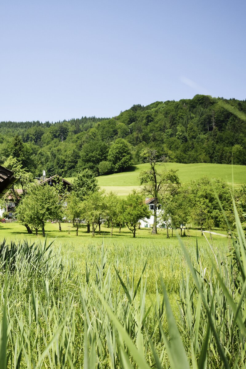 Hütte im Schilf am See | © Urlaub am Bauernhof Oberösterreich / Harald Puchegger