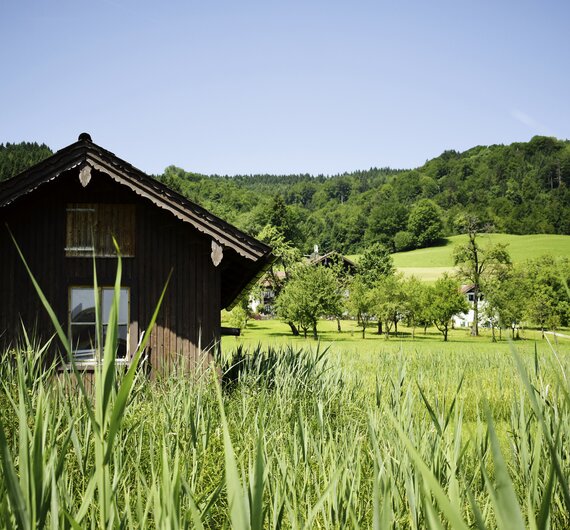 Hütte im Schilf am See | © Urlaub am Bauernhof Oberösterreich / Harald Puchegger