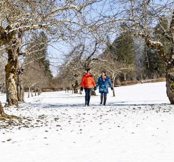 Paar macht einen Winterspaziergang | © Urlaub am Bauernhof / Andreas Hofer