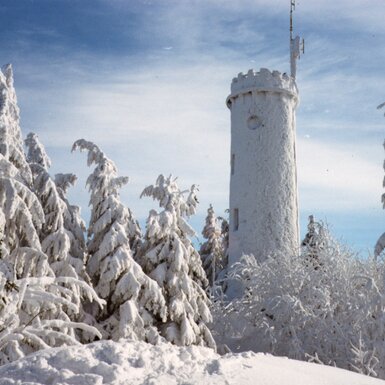 Verschneite Sternsteinwarte bei Bad Leonfelden, Mühlviertel | © Kurverband Bad Leonfelden
