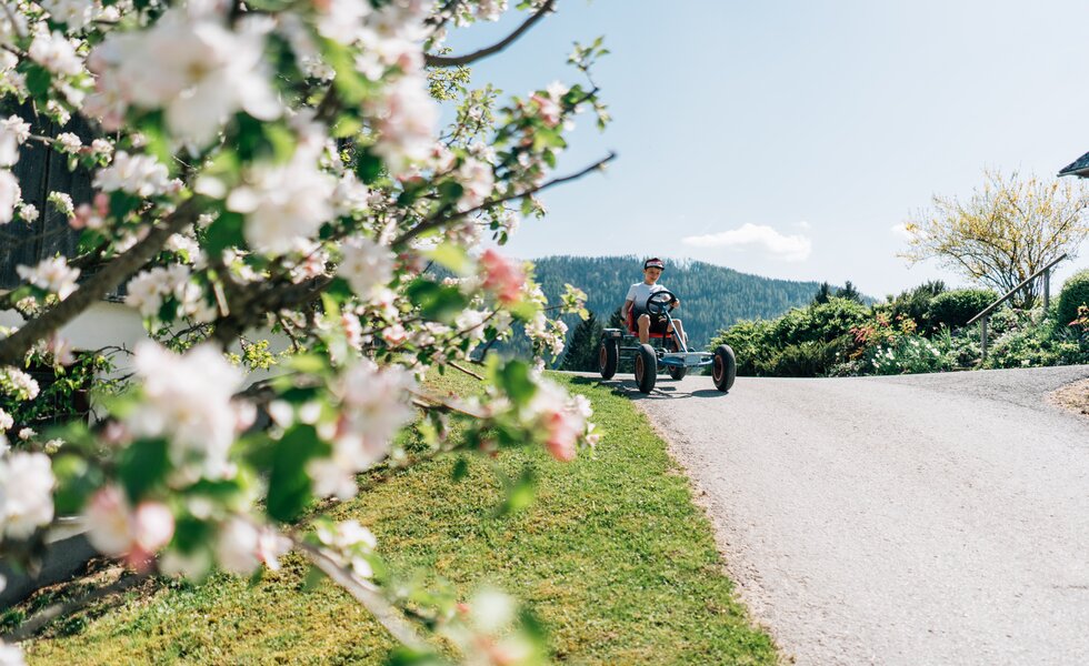 Eine ländliche Straße umgeben von blühenden Kirschbäumen und üppiger Vegetation, auf der ein Fahrer auf einem Tretauto fährt, inmitten einer idyllischen Landschaft. | © Urlaub am Bauernhof / Daniel Gollner 