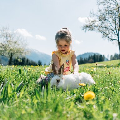 Mädchen und Hase | © Urlaub am Bauernhof / Daniel Gollner Kleines Mädchen sitzt lächelnd auf einer Wiese voller Blumen und spielt mit einem großen, weißen Kaninchen. Hinter ihnen sind hohe Bäume und eine bergige Landschaft zu sehen. | © Urlaub am Bauernhof / Daniel Gollner