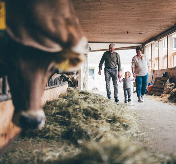 Eine Familie erkundet einen Stall mit hohen Heuballen an den Wänden. Die Erwachsenen begleiten ein kleines Kind an der Hand, während ein Tier im Hintergrund sichtbar ist. | © Urlaub am Bauernhof / Daniel Gollner