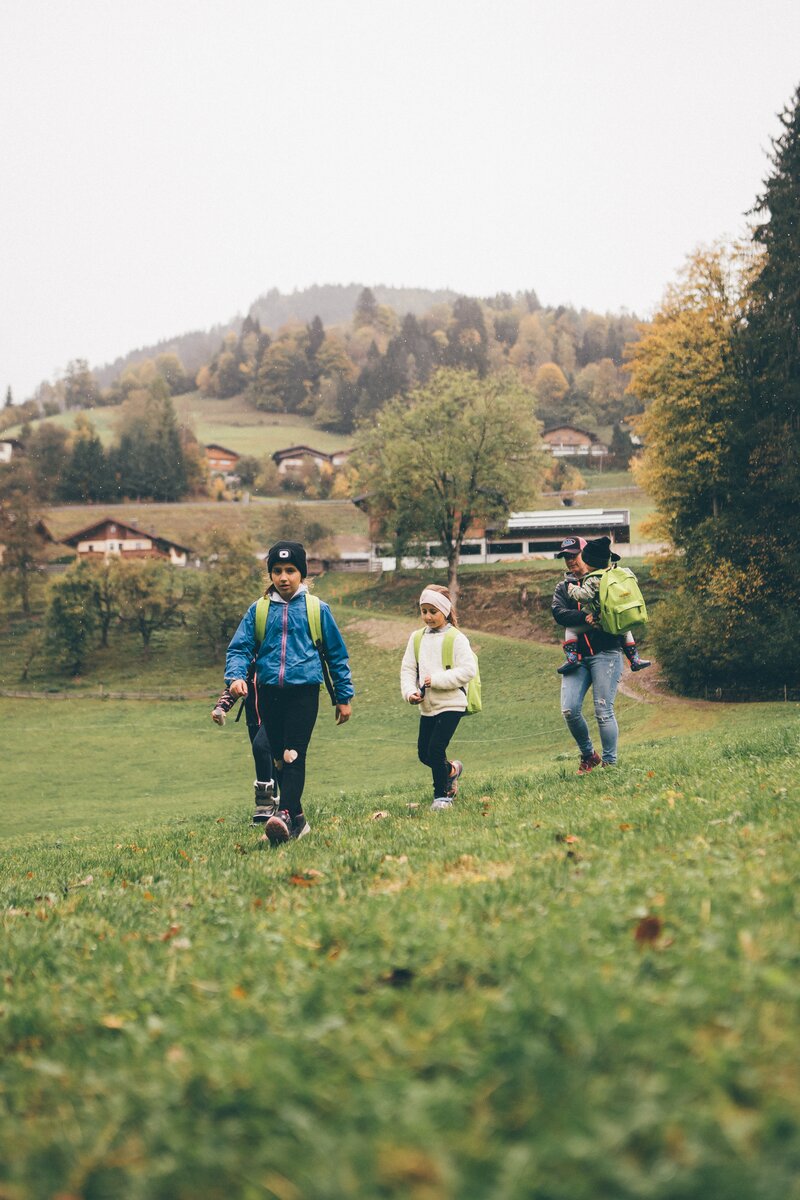 Wanderer in farbenfroher Herbstlandschaft, über Wiesen und Felder schlendernd, begleitet von hohen Bäumen und Häusern im Hintergrund. | © Urlaub am Bauernhof / Daniel Gollner