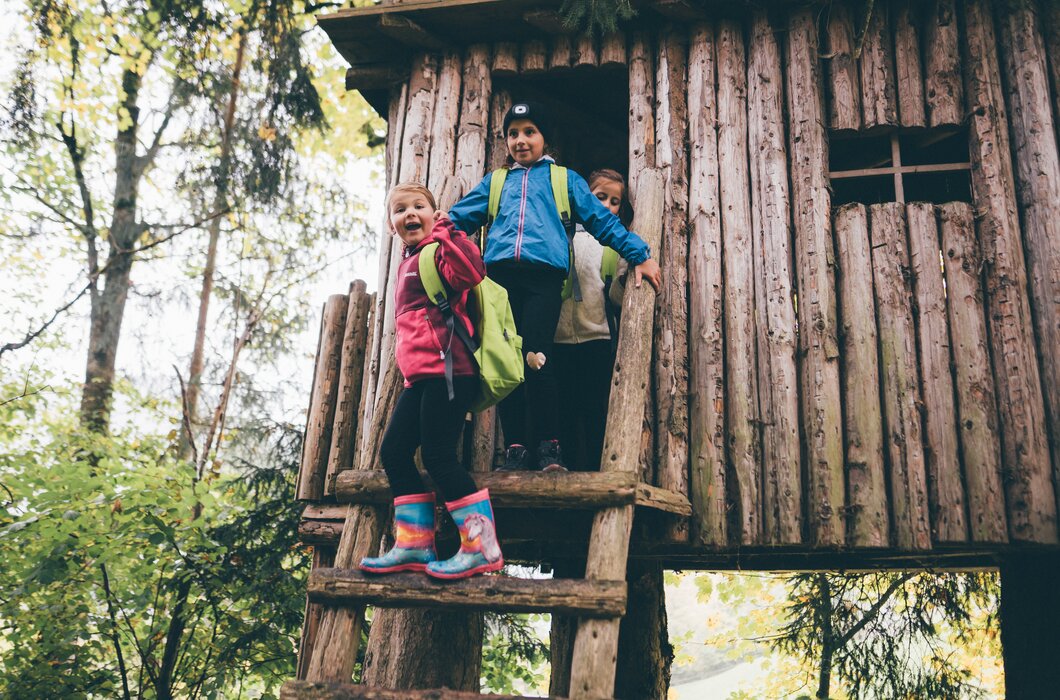 Kinder in bunter Kleidung stehen auf einer hölzernen Plattform in einer waldigen Umgebung. Sie scheinen eine Spielanlage oder einen Aussichtsturm zu erkunden. | © Urlaub am Bauernhof / Daniel Gollner