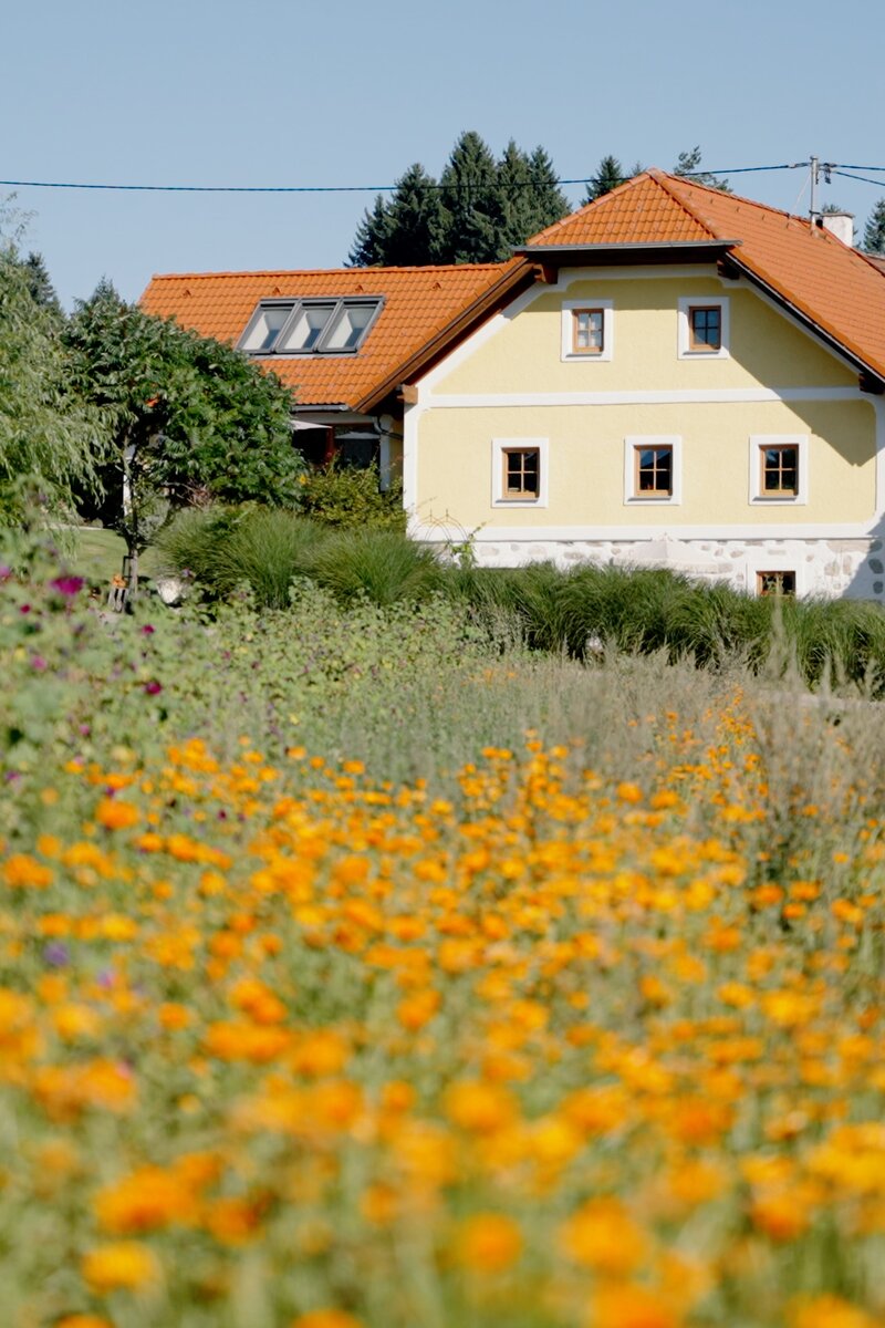Wohngebäude mit orangen Dächern, eingebettet in eine üppige, blumige Landschaft mit Sträuchern und Bäumen.