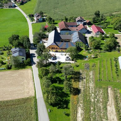 Weitläufiger landwirtschaftlicher Betrieb umgeben von bewirtschafteten Feldern, Baumgruppen und Gebäuden mit Satteldächern und Scheunen. Ein gepflasterter Weg führt zu dem Hof, auf dem mehrere Fahrzeuge geparkt sind. | © Urlaub am Bauernhof / Daniel Gollner