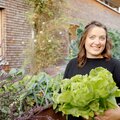 Eine Frau haelt geernteten Salat in der Hand | © Urlaub am Bauernhof / Daniel Gollner