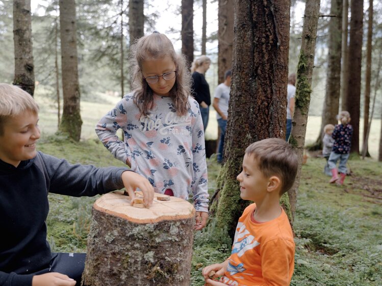 Kinder spielen Tic-Tac-Toe auf dem Baumstamm | © Urlaub am Bauernhof / Daniel Gollner