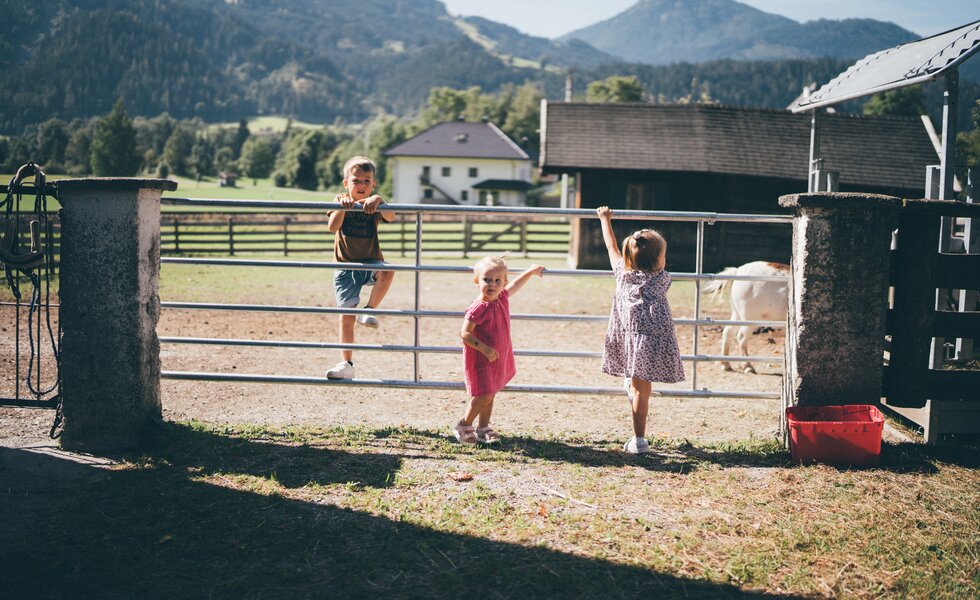 Drei Kinder spielen fröhlich auf einer Wiese vor einem Gehege mit Haustieren in einer ländlichen Umgebung. | © Urlaub am Bauernhof / Daniel Gollner
