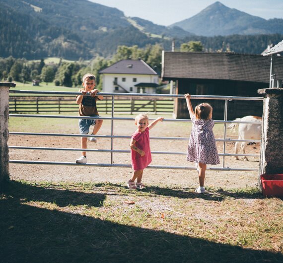 Drei Kinder spielen fröhlich auf einer Wiese vor einem Gehege mit Haustieren in einer ländlichen Umgebung. | © Urlaub am Bauernhof / Daniel Gollner