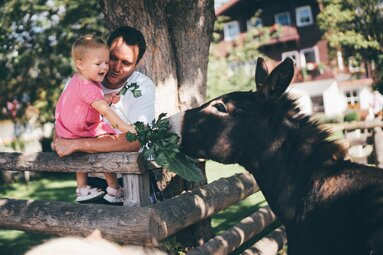 Kind mit Papa fuettert Esel | © Urlaub am Bauernhof / Daniel Gollner