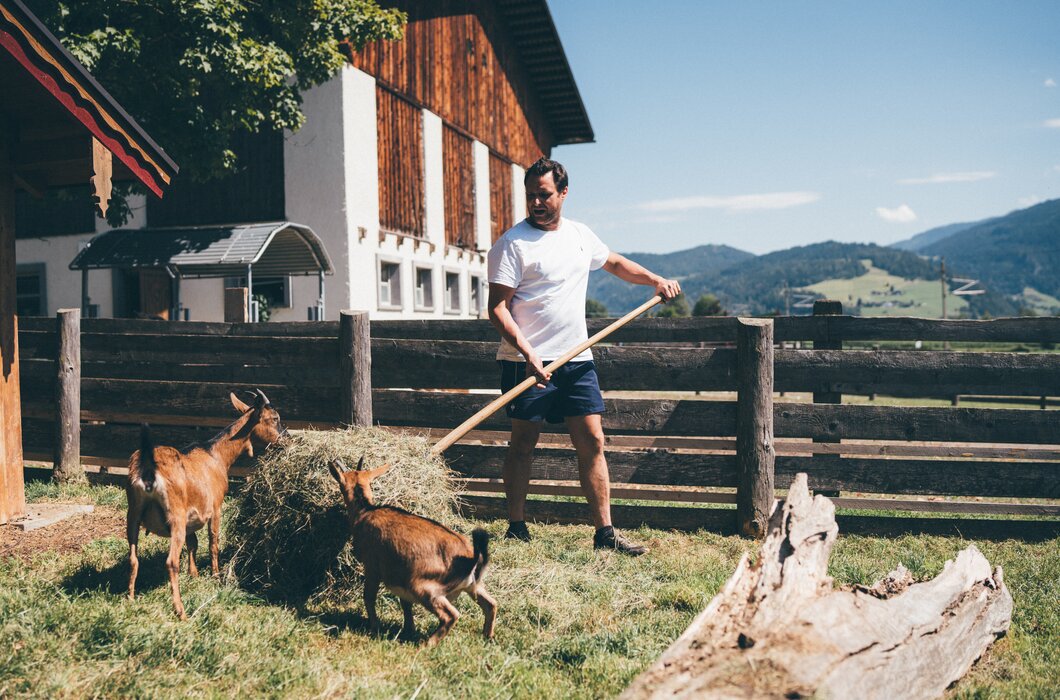 Idyllische ländliche Szene: Ein Mann mit Heugabel an einem Gebäude mit Sichtholzverkleidung, umgeben von Ziegen auf einer grünen Wiese. Im Hintergrund sind Berge zu erkennen. | © Urlaub am Bauernhof / Daniel Gollner