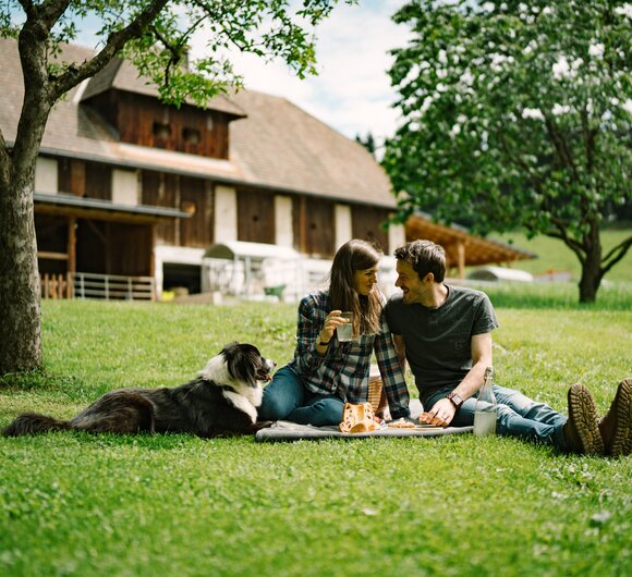 Paar in Wiese auf Decke mit Hund | © Urlaub am Bauernhof / Daniel Gollner 
