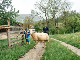 Bub geht mit Schaf am Einkehrhof Poggau spazieren | © Urlaub am Bauernhof / Daniel Gollner
