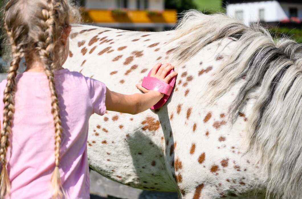 Junges Mädchen in rosa Jacke streichelt einen gescheckten Pony. Der Pony hat ein geflecktes Fell und wird von einem farbenfrohen Hintergrund umgeben. | © Urlaub am Bauernhof / Punkt und Komma