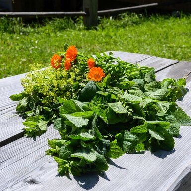Auf einem Holztisch im Freien stehen frisch geerntete grüne Blätter und orangefarbene Blüten, umgeben von einer sonnigen, üppigen Graslandschaft. | © Urlaub am Bauernhof / Punkt und Komma
