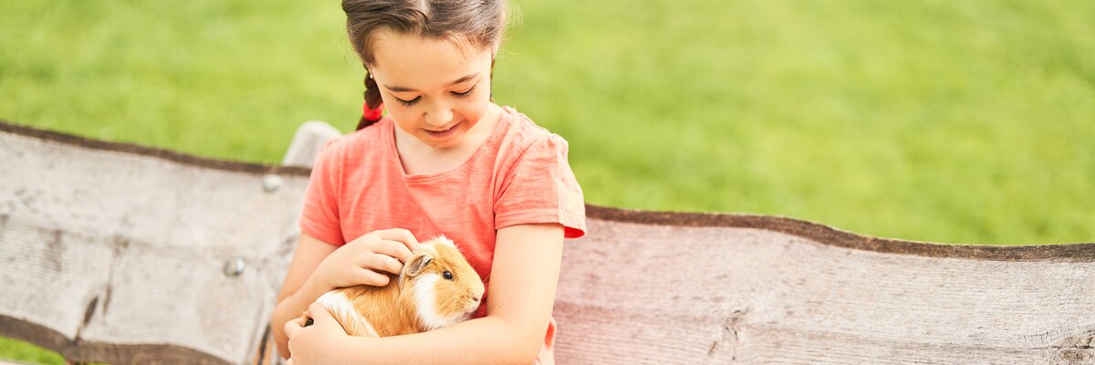 Kind sitzt  mit einem Meerschweinchen auf der Bank | © Urlaub am Bauernhof / Punkt und Komma