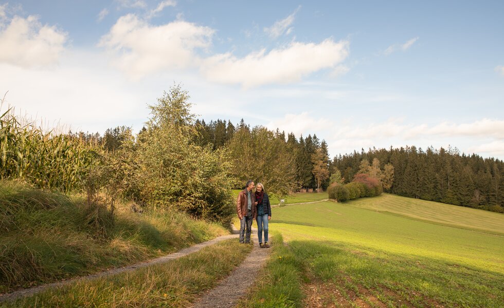 Zwei Personen spazieren auf einem Feldweg durch eine abwechslungsreiche Landschaft mit Wald, Wiesen und Feldern. Der Himmel ist bewölkt, die Stimmung erscheint ruhig und beschaulich. | © Urlaub am Bauernhof / Punkt und Komma