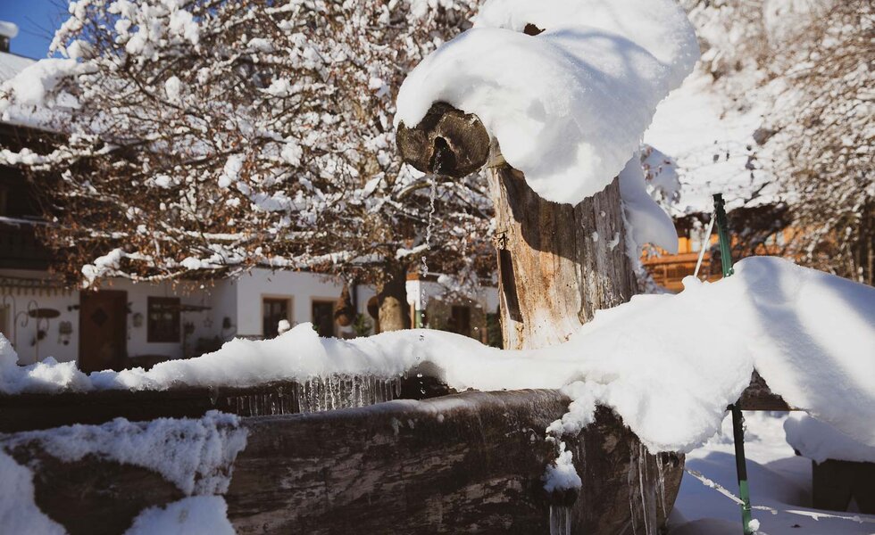 Verschneiter und vereister Brunnentrog | © Urlaub am Bauernhof / Pascal Baronit Verschneiter Obstgarten mit Holzstumpf und Eisformationen, umgeben von schneebedeckten Bäumen und einem hellen, klaren Himmel. Eine winterliche Szene, die Ruhe und Abgeschiedenheit ausstrahlt. | © Urlaub am Bauernhof / Pascal Baronit