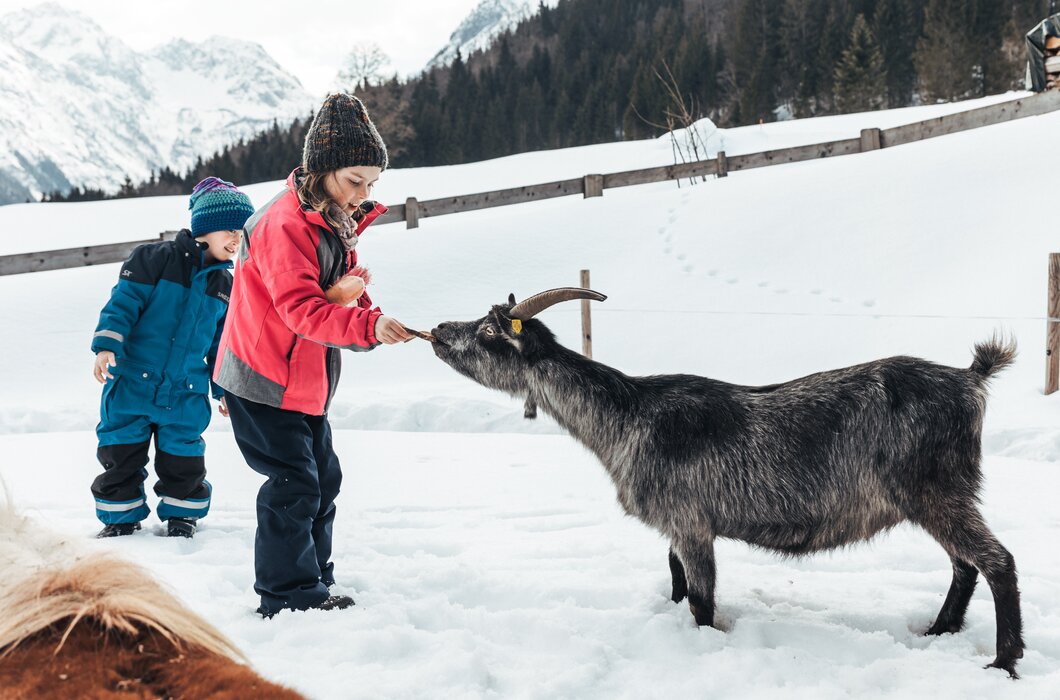 Eine Frau in roter Jacke füttert einen schwarzen Ziegenbock auf verschneiter Berglandschaft, während ein Kind in blauer Winterkleidung neben ihr steht. | © Urlaub am Bauernhof / Punkt und Komma
