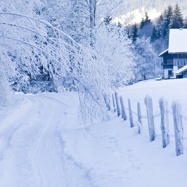 Verschneite Winterlandschaft mit Waldweg, umgebende Bäume und ein Berghaus. Die Winterstimmung mit der Schneebedeckung hat eine faszinierende Atmosphäre. | © Urlaub am Bauernhof / Hans Huber