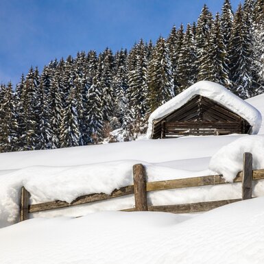 Eine verschneite Berghütte vor einer Waldkulisse. Ein hölzerner Zaun grenzt die verschneite Landschaft ab. Der Himmel strahlt in strahlendem Blau. | © Urlaub am Bauernhof / Bernd Suppan