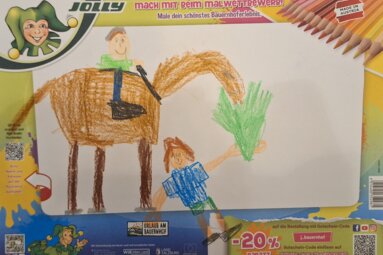 Jonas (8 Jahre) aus Götzens | © Urlaub am Bauernhof SalzburgerLand