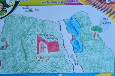 Lennard (10 Jahre) aus Stendal | © Urlaub am Bauernhof SalzburgerLand