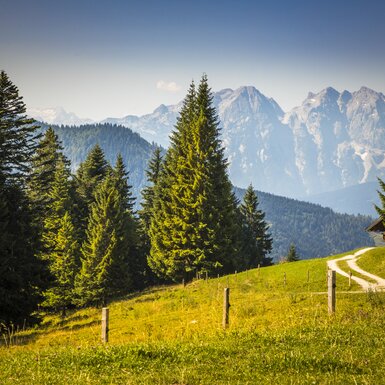 Almgebiet Wallmannhütte, Tennengau, Salzburger Land | © Urlaub am Bauernhof Salzburger Land / Bernd Suppan Almgebiet Wallmannhütte, Weg, Wald, Tennengau, Salzburger Land | © Urlaub am Bauernhof Salzburger Land / Bernd Suppan